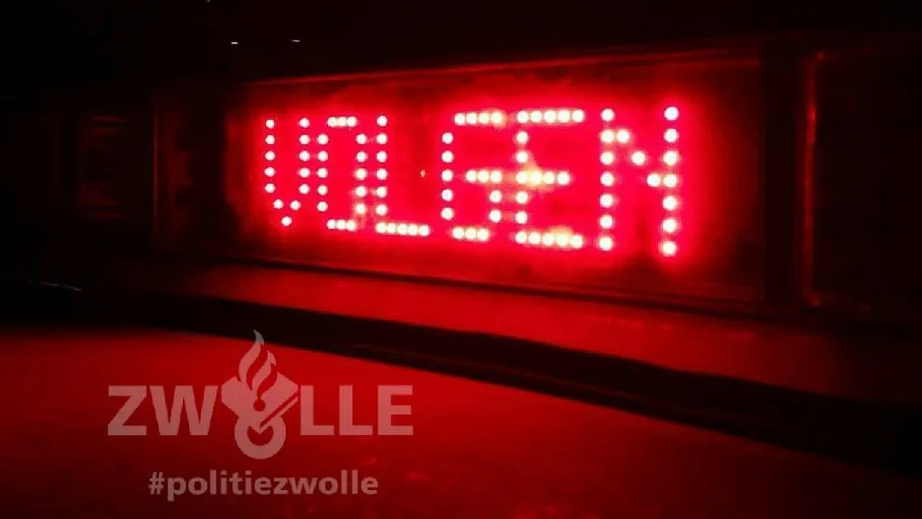 21457439 1718159678493595 6861005346078543602 o 1