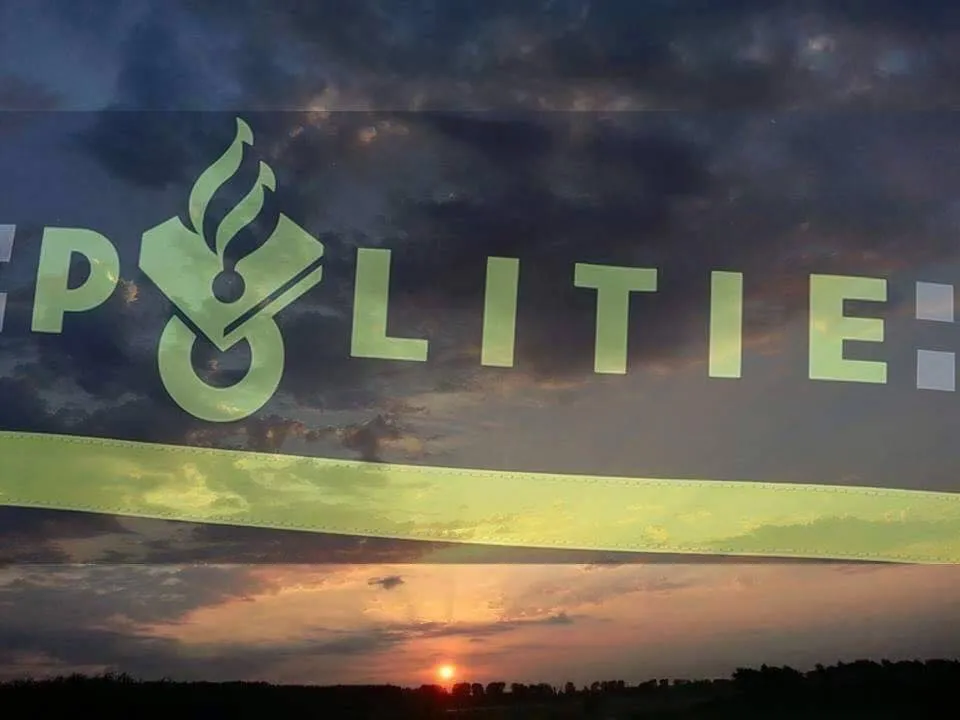 22730139 1733232463652983 8404324108023710257 n