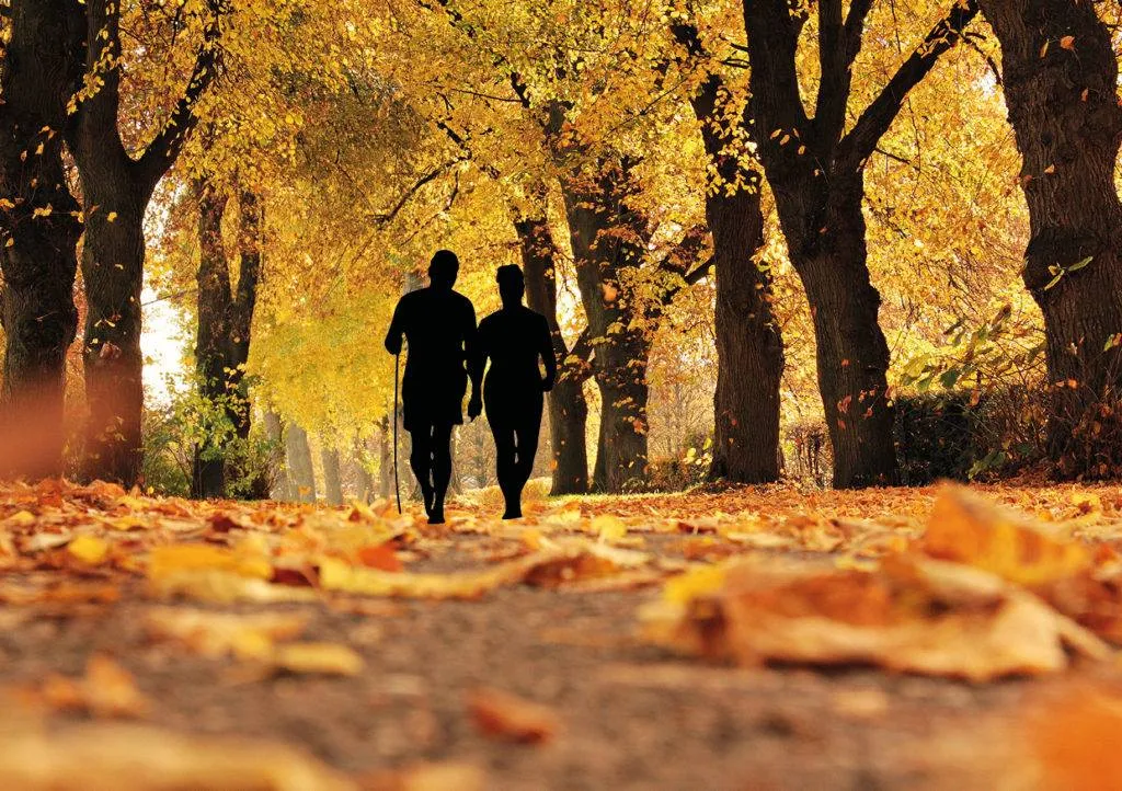 22829328 1465964556806470 6004869202846160540 o