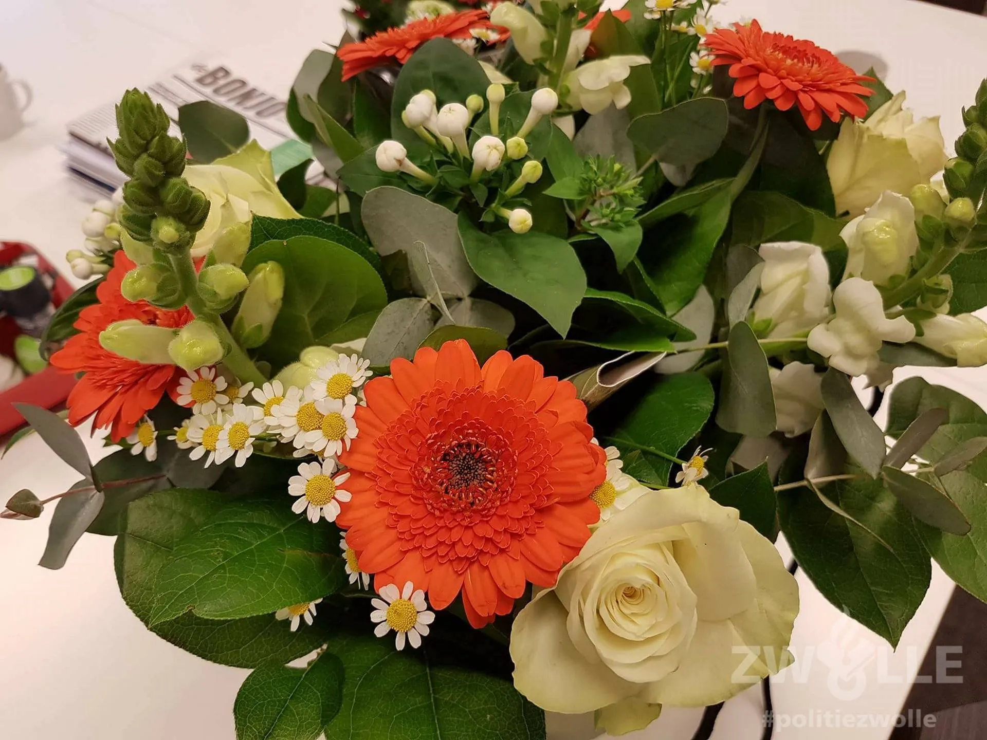 23275333 1735759950066901 3427478705316400006 o