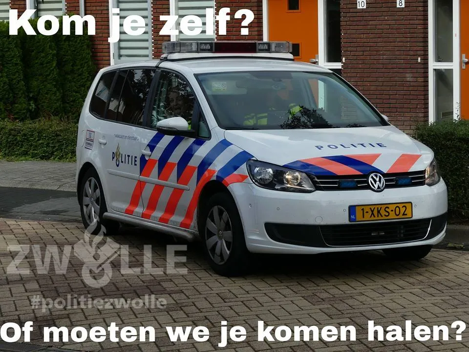 24296348 1746156105693952 6809499033348599278 n