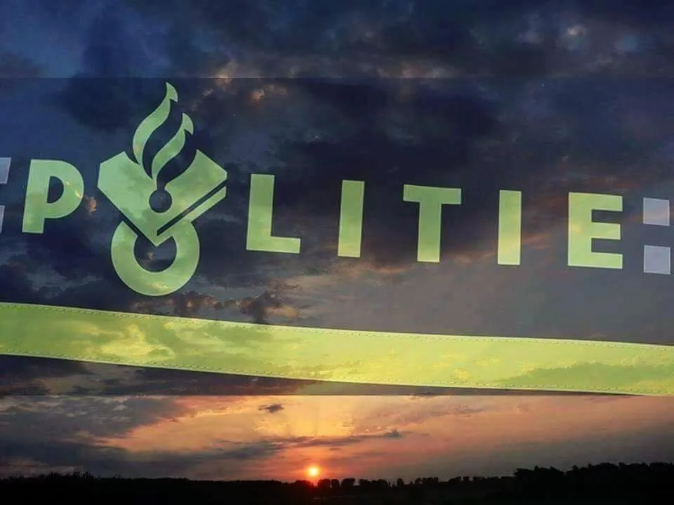 24862328 1747841712192058 7147564716668707833 n