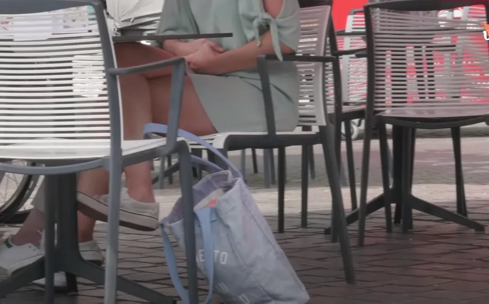 diefstal in zwolle vrije vogels media