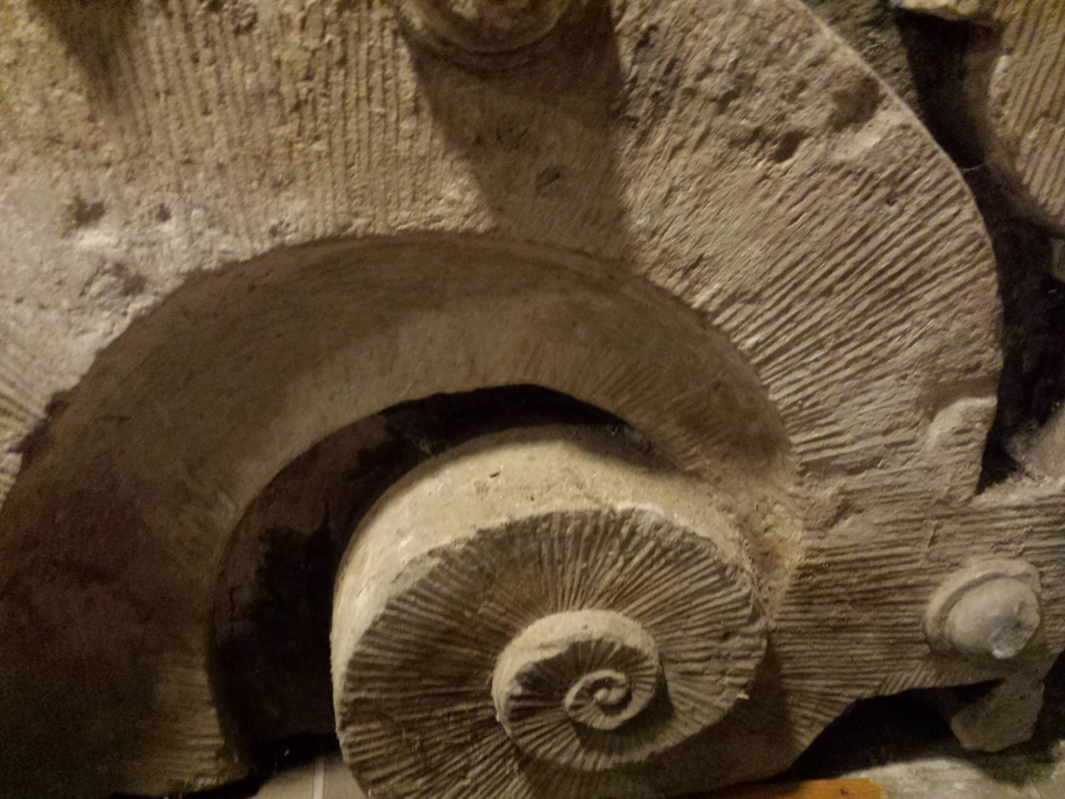 gevelsteen vleeshuis