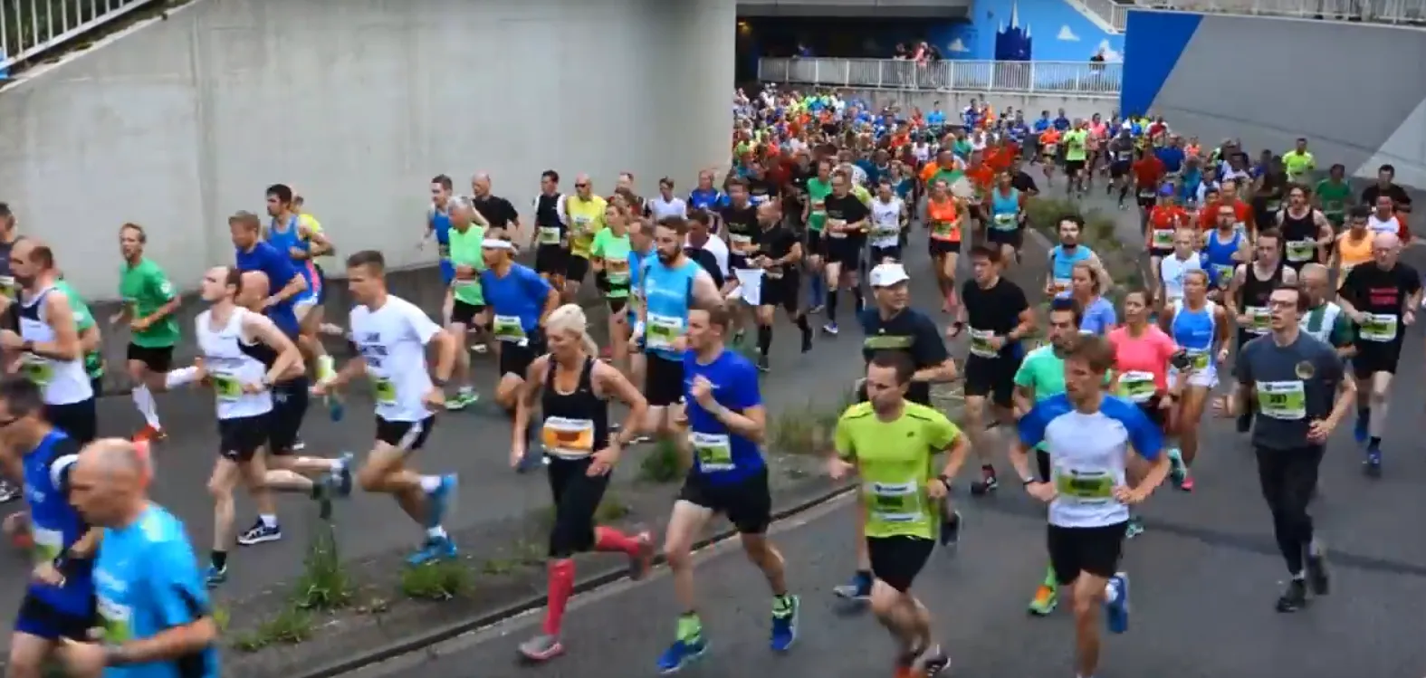 halvemarathon zwolle