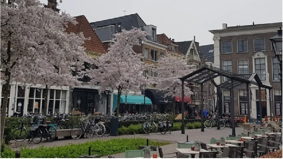 nieuwe markt zwolle