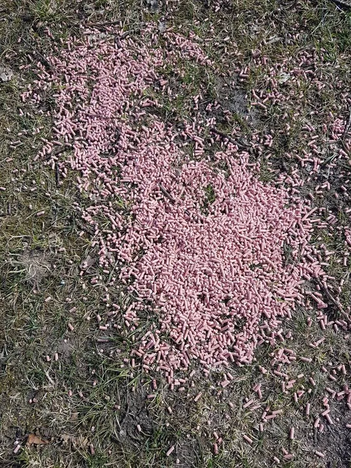 rattengift wezenlandenpark