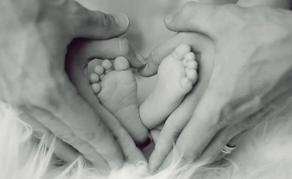 schermafbeelding 2019 02 22 om 095300