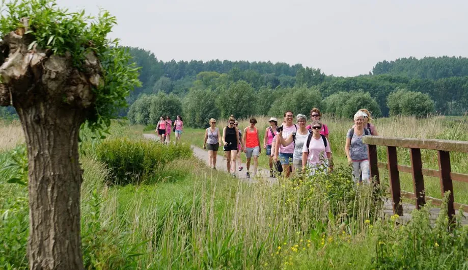 schermafbeelding 2019 03 25 om 220137