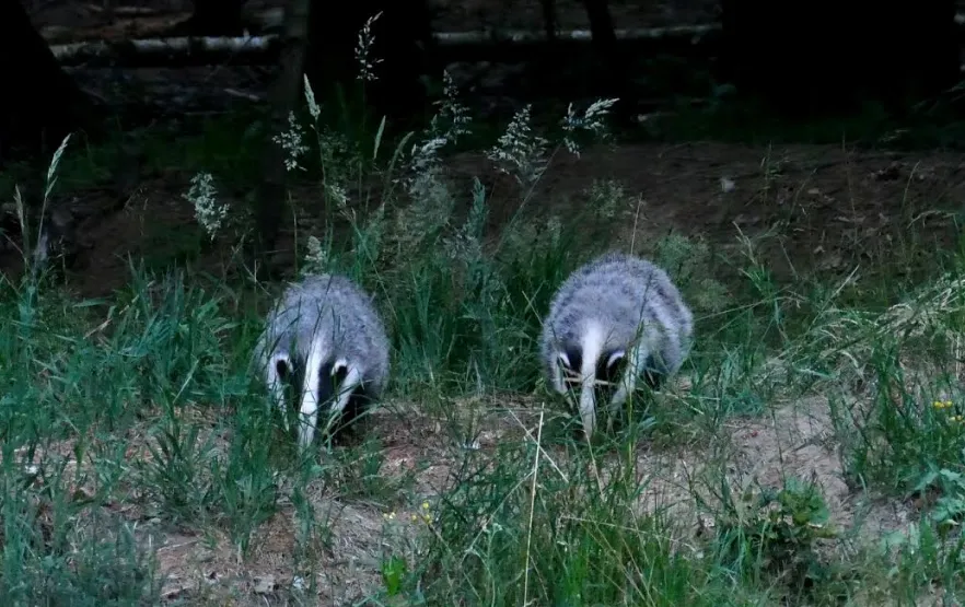 schermafbeelding 2019 06 30 om 100003