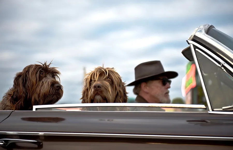 schermafbeelding 2019 11 14 om 083554