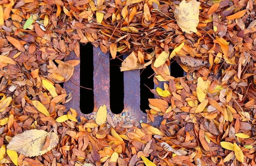 schermafbeelding 2020 05 15 om 135059