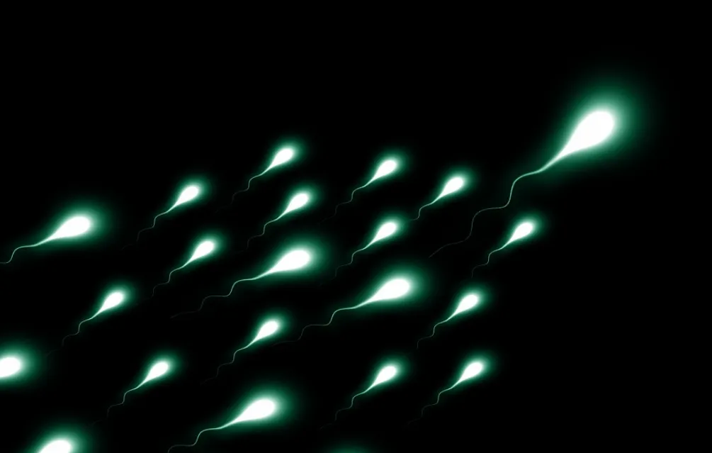 schermafbeelding 2020 10 06 om 164356