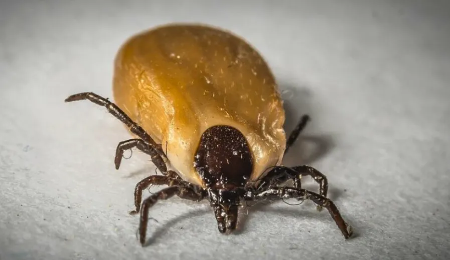 schermafbeelding 2022 07 11 om 085632