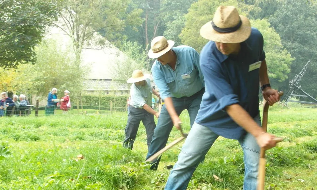 schermafbeelding 2022 08 15 om 083535