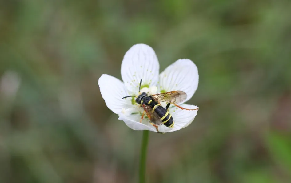 schermafbeelding 2022 10 22 om 063817