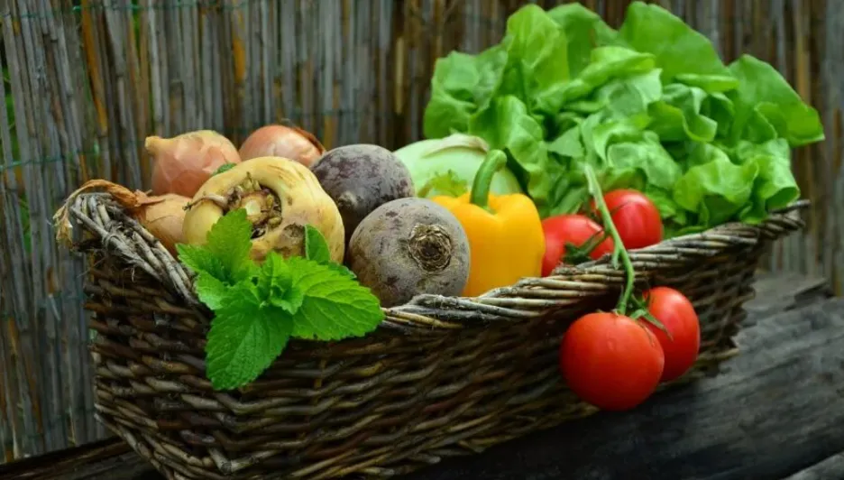 schermafbeelding 2022 10 22 om 204059