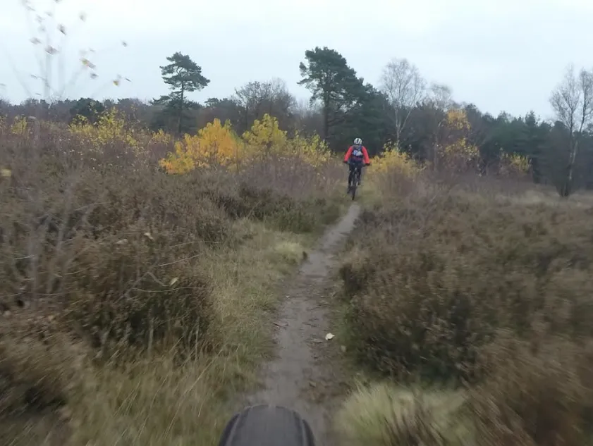 schermafbeelding 2022 10 27 om 054132