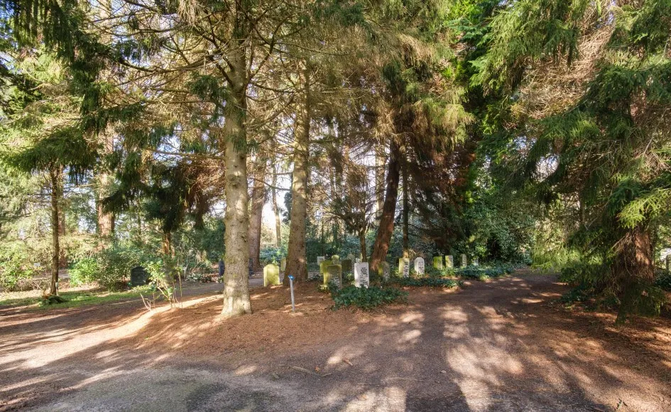 schermafbeelding 2024 02 09 171201