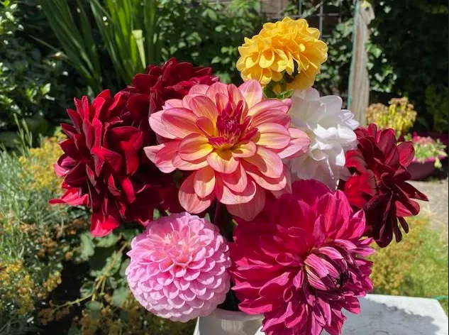 schermafbeelding 2024 05 14 110831