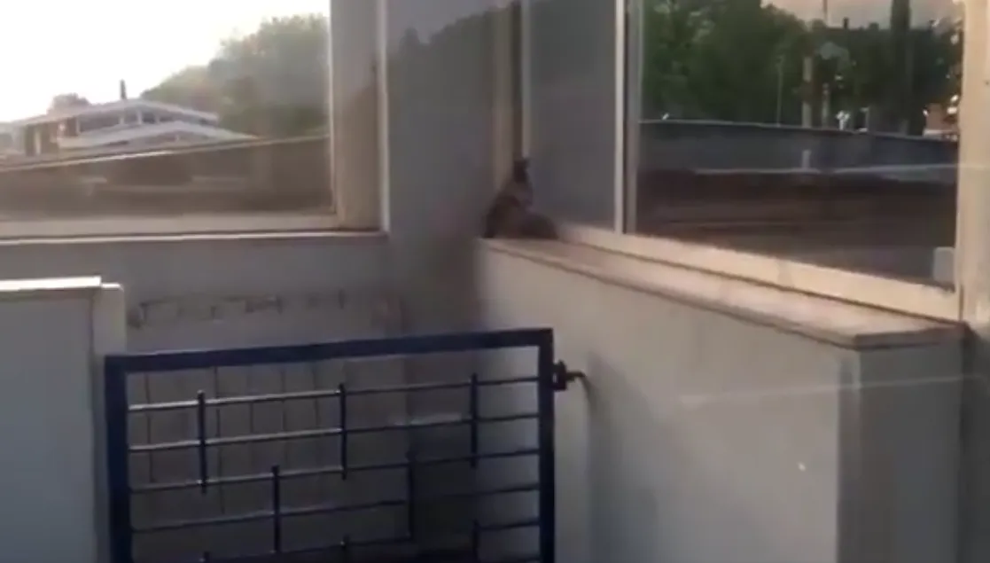 schermafdruk 2018 05 12 122809