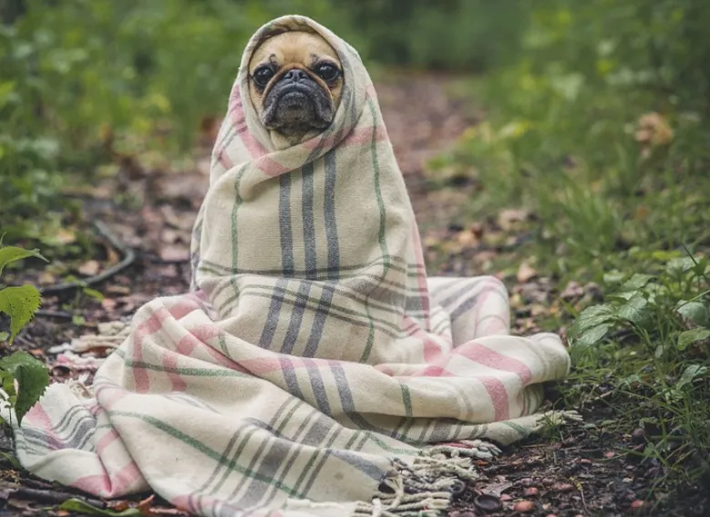 schermafdruk 2018 08 26 100703