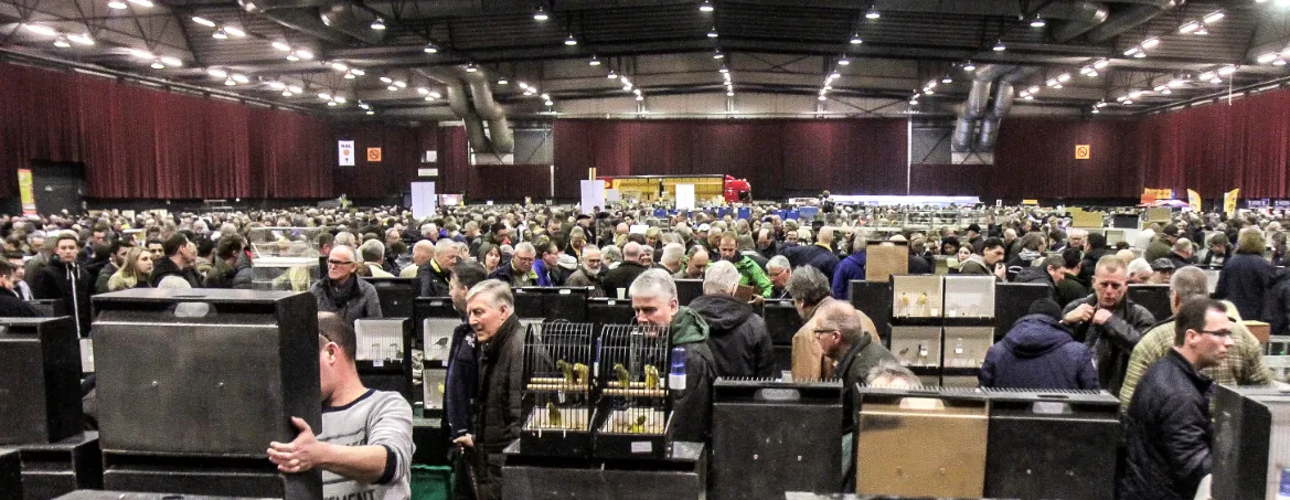 schermafdruk 2018 11 12 081621