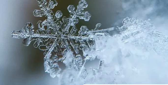 schermafdruk 2018 12 17 062036