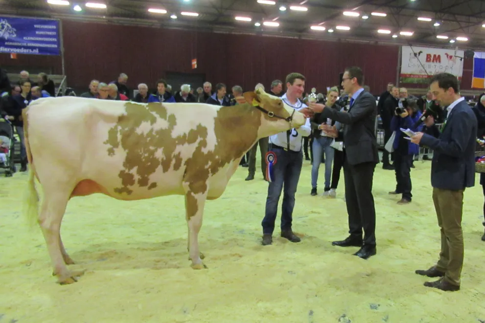 schermafdruk 2019 02 16 083322