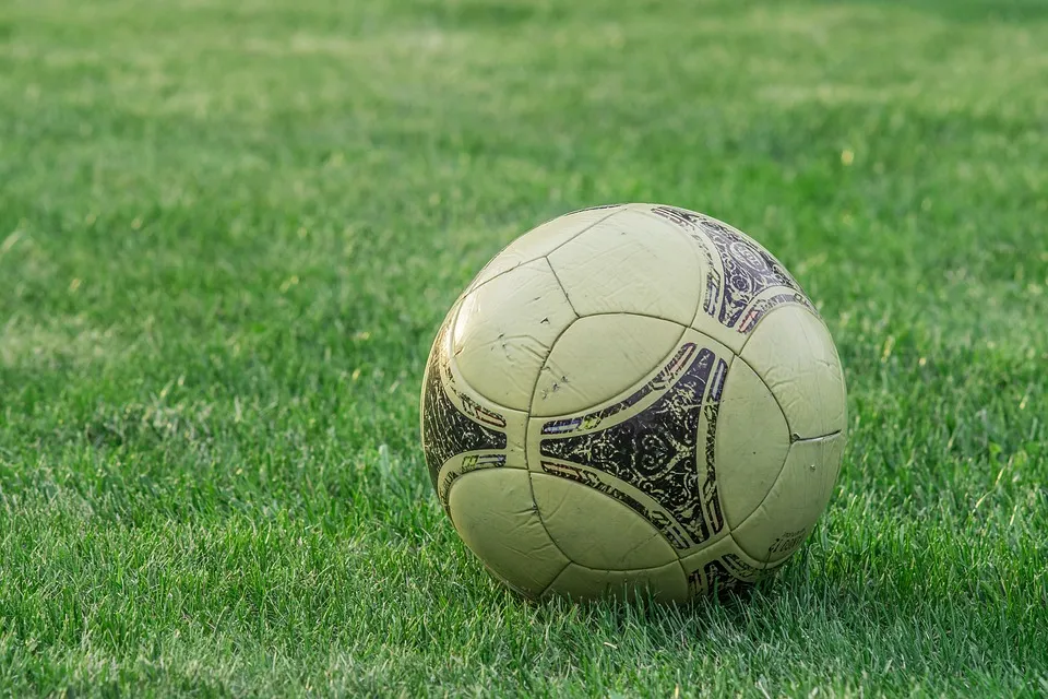 sv zwolle voetbal
