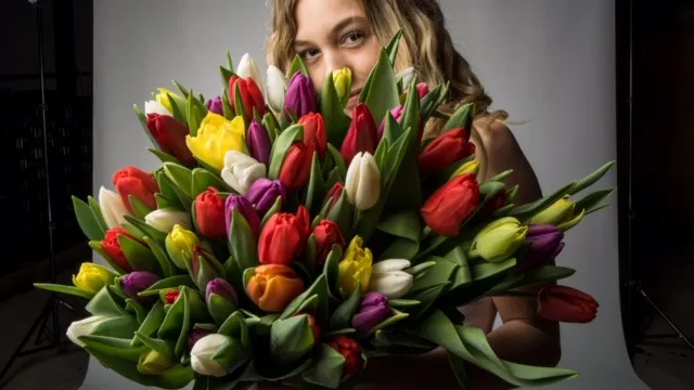 tulpen evie