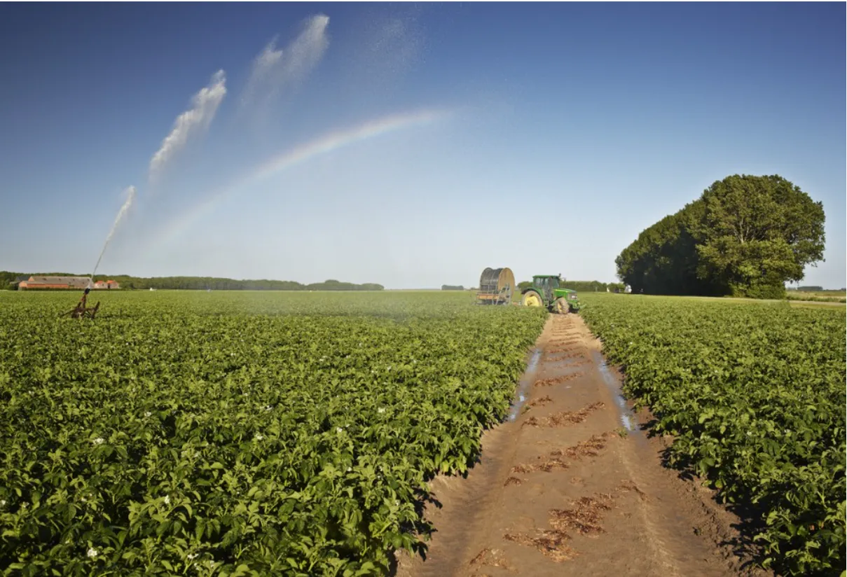 watertekort nederland