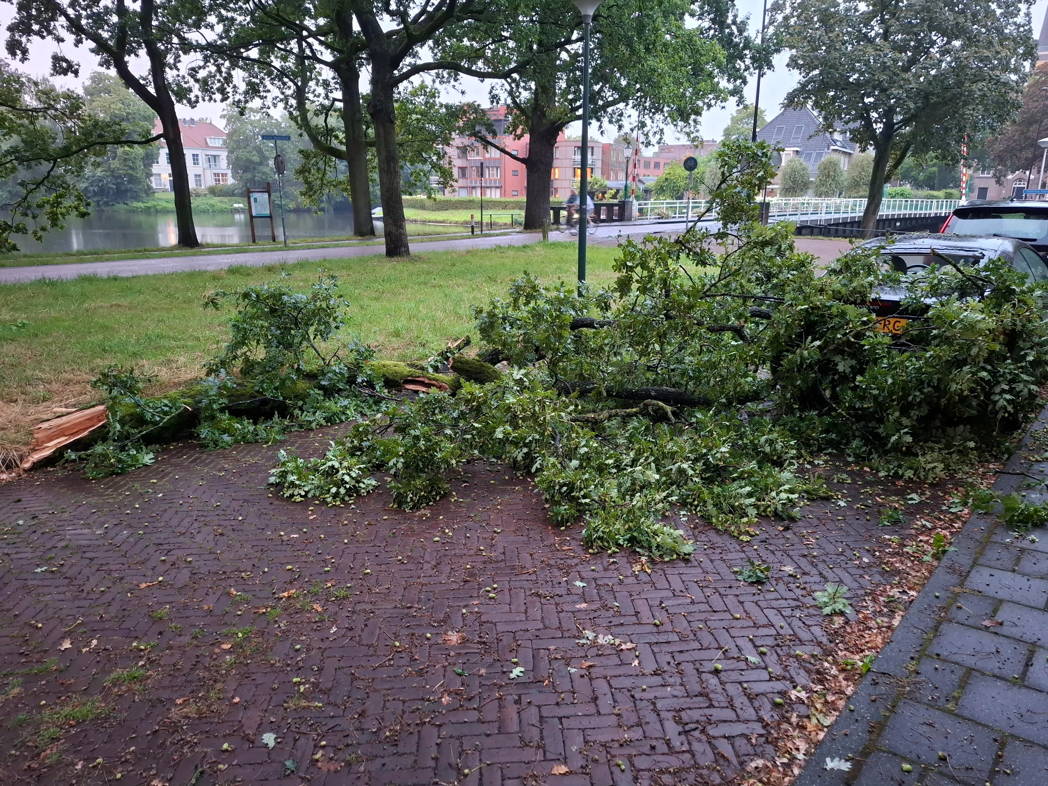 takvaltuitdeboom