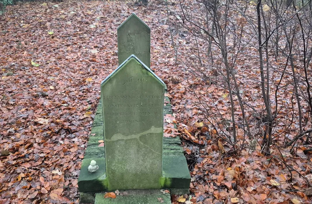 Schermafbeelding 2025-11-30 095843