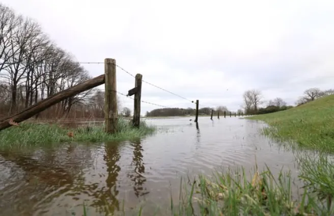 Schermafbeelding 2025-12-11 100150