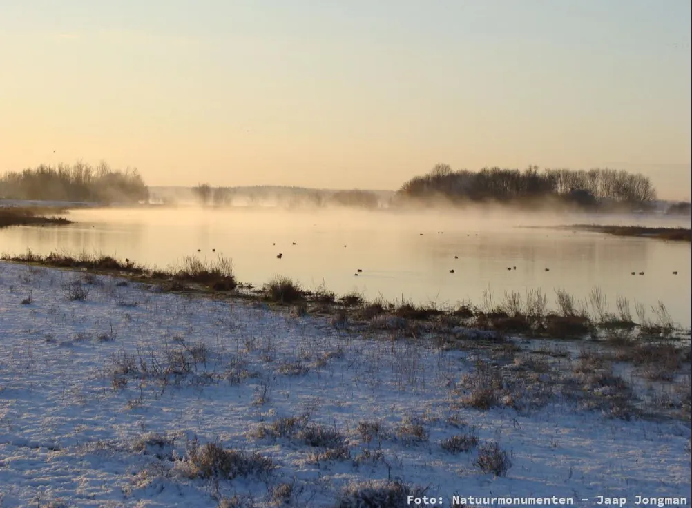 Schermafbeelding 2025-12-21 111313
