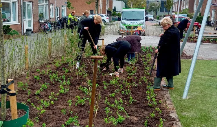 Schermafbeelding 2026-02-07 131253