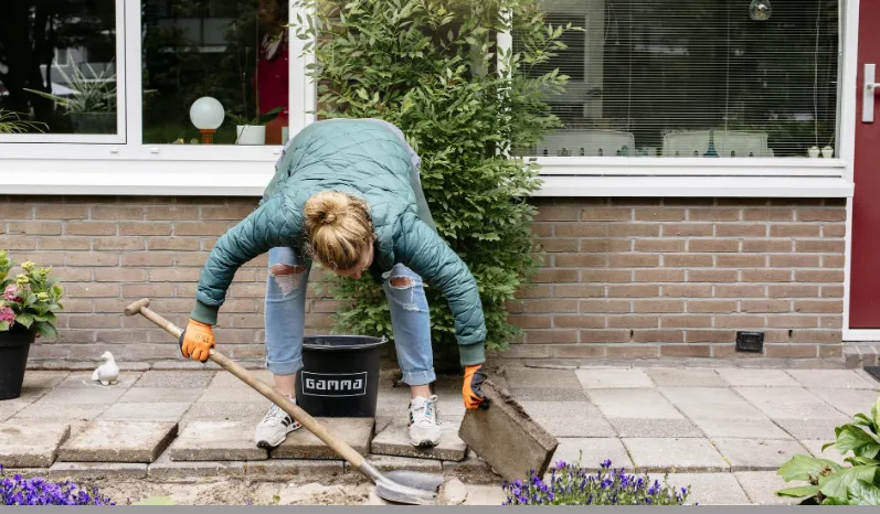 Schermafbeelding 2026-03-11 095543