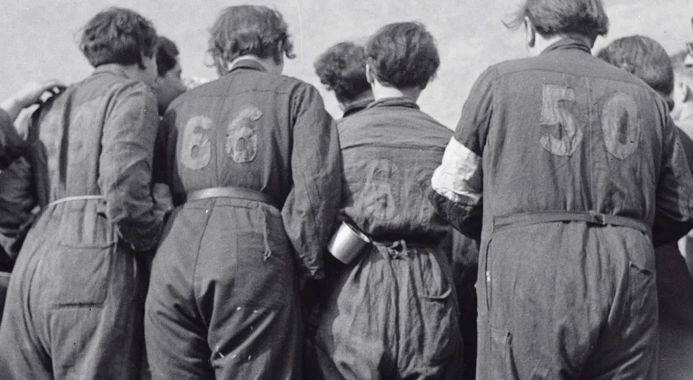 Schermafbeelding 2026-04-23 094408