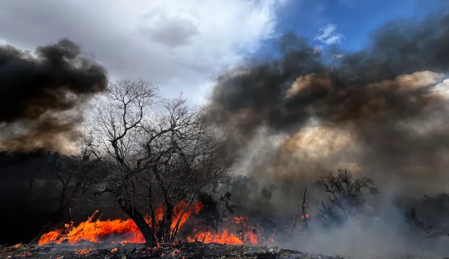 Schermafbeelding 2026-04-29 160740