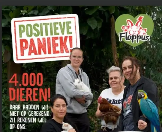 Schermafbeelding 2026-09-23 141544