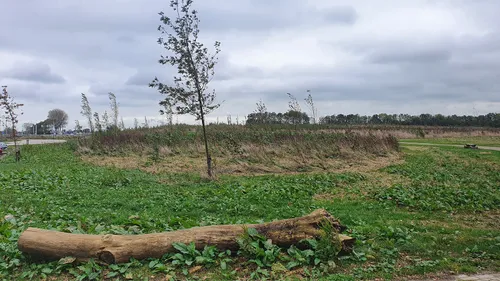 20211027 144518 natuurbegraafplaats wim meijer fotografie