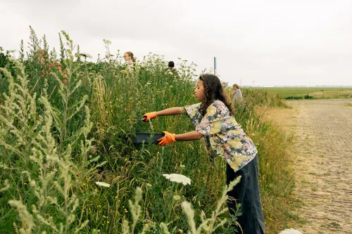202307 fortkijkkruidentuin 13 yorinde diepstraten kopieren