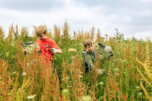 202307 fortkijkkruidentuin 39 yorinde diepstraten kopieren