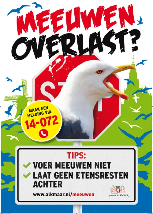 311574 meeuwenposter2019 c94c8f original 1557154135