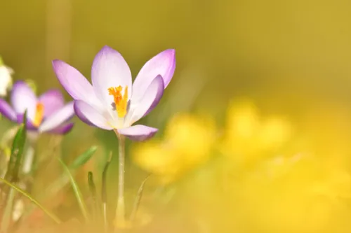 52387565 641287639626163 2576683810108211200 n