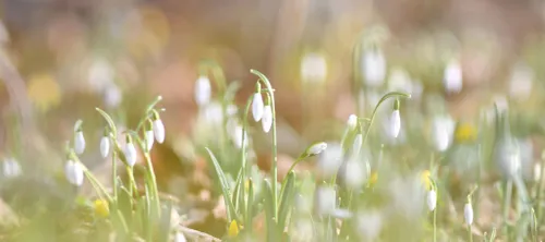 52557713 2188975904764328 4534314136800067584 n