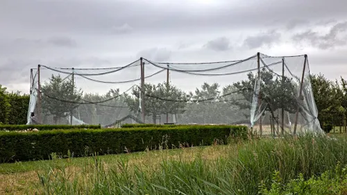 5i5a5700 netten 1024x576 1