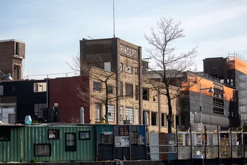 5i5a6212 ringers wim meijer fotografie