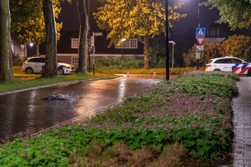 6e4e4333 0955 4600 a455 0737a9147852